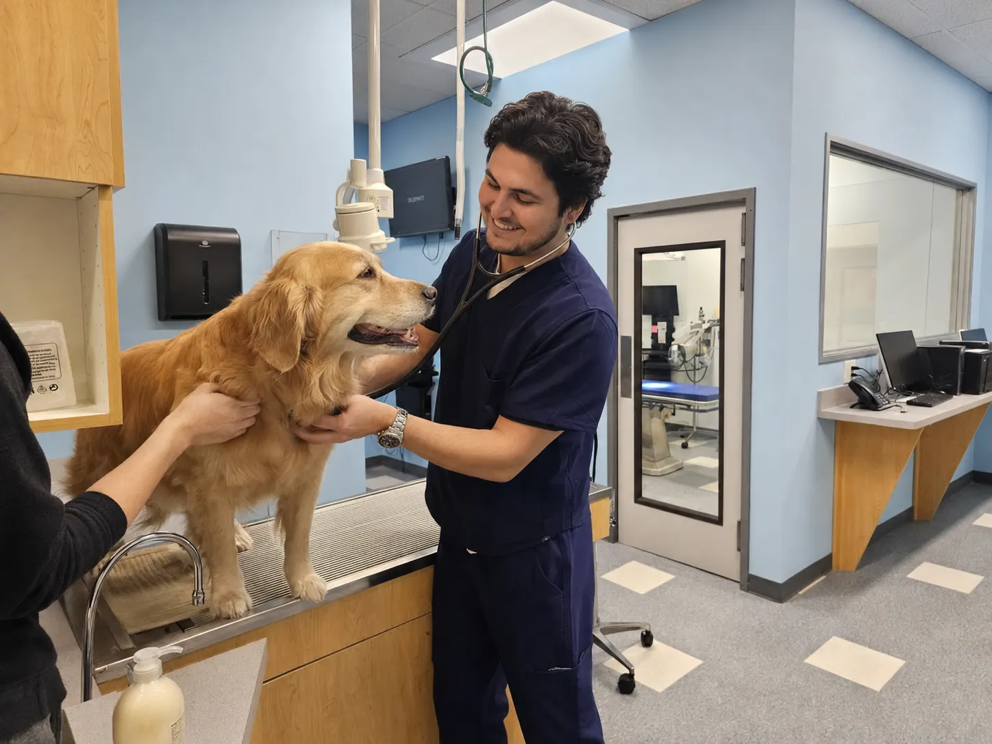 Doctor examining dog oral cavity